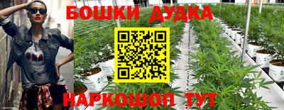 СК Долгопрудный