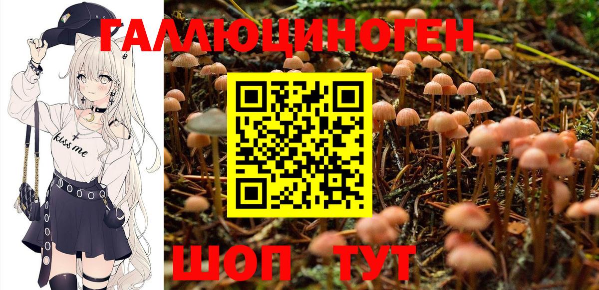 Псилоцибиновые грибы Psilocybine cubensis Вичуга