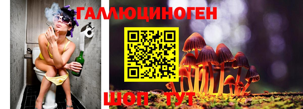 Псилоцибиновые грибы GOLDEN TEACHER  Вход с VPN  Вичуга 