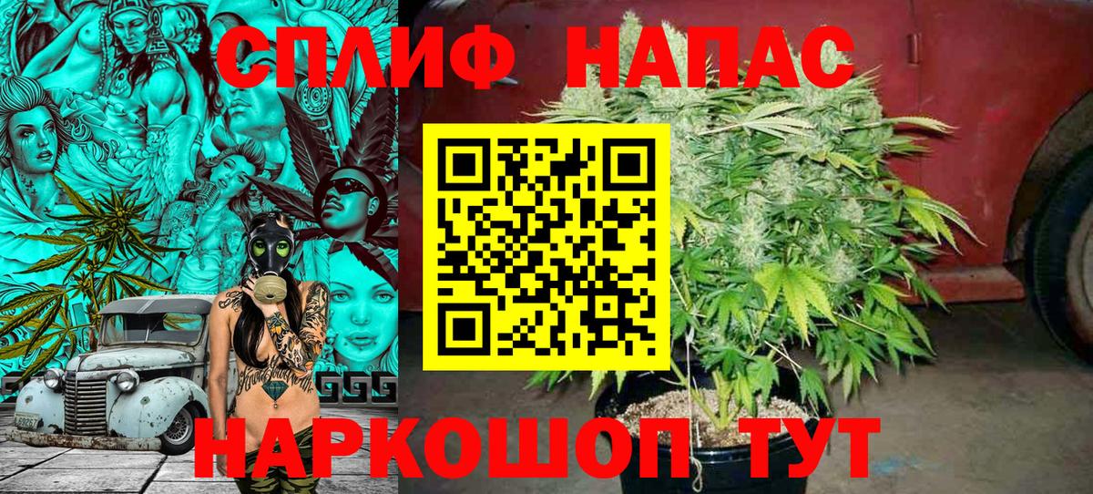 Бошки марихуана Amnesia Вичуга