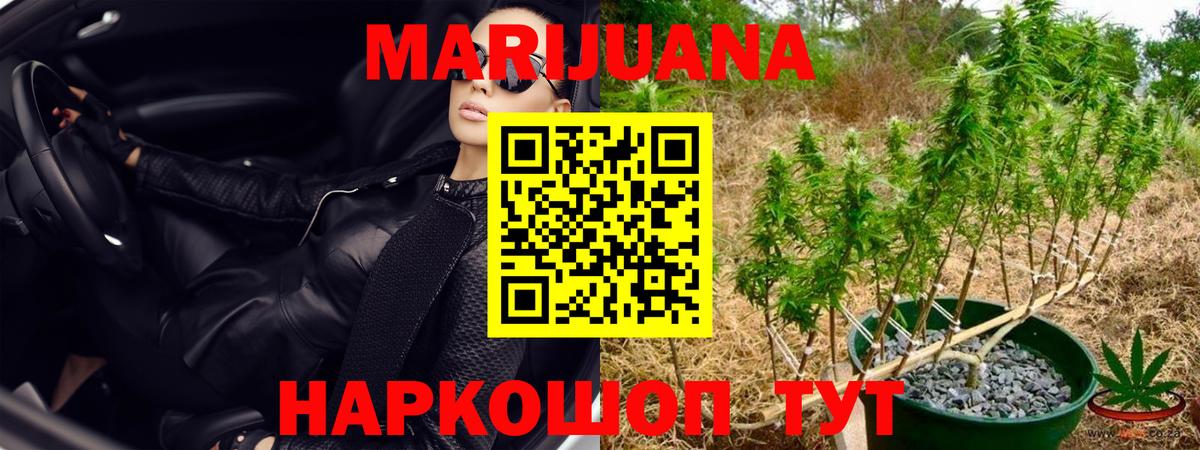 Бошки марихуана Bruce Banner  Конопля гибрид  Вичуга  Вход с VPN  Канабис Amnesia 
